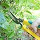 garden scissors ratchet